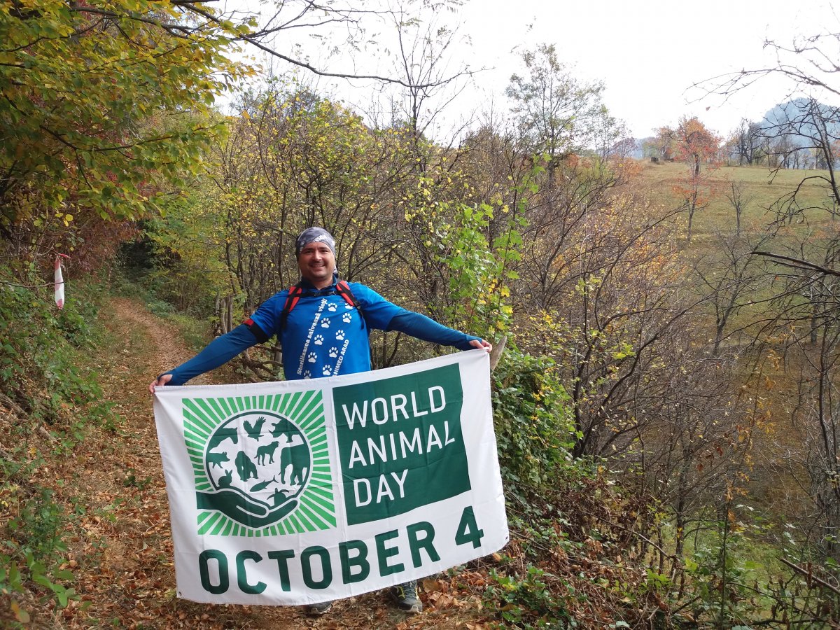 Promovarea World Animal Day si a sterilizarilor la Hercules Maraton 20.10.2018