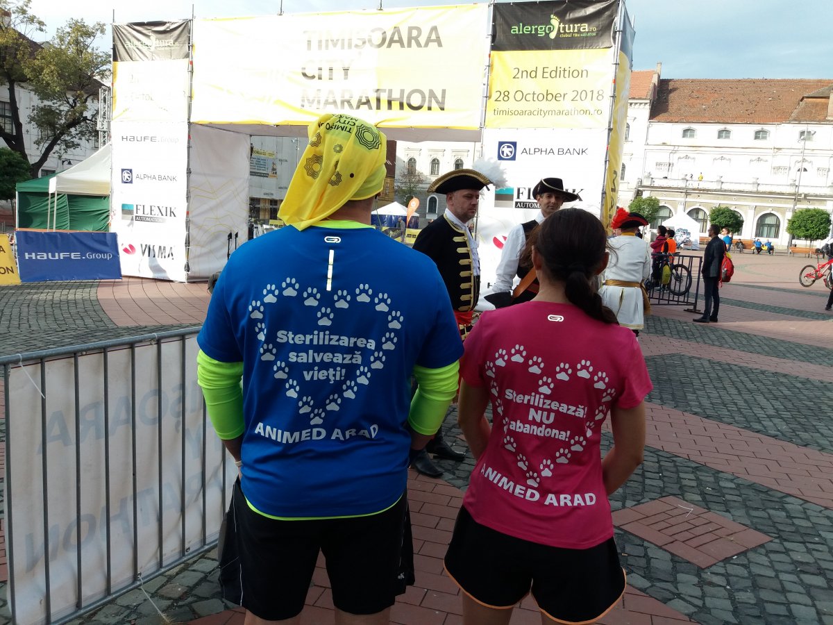 Promovarea sterilizărilor la Timișoara City Marathon 2018