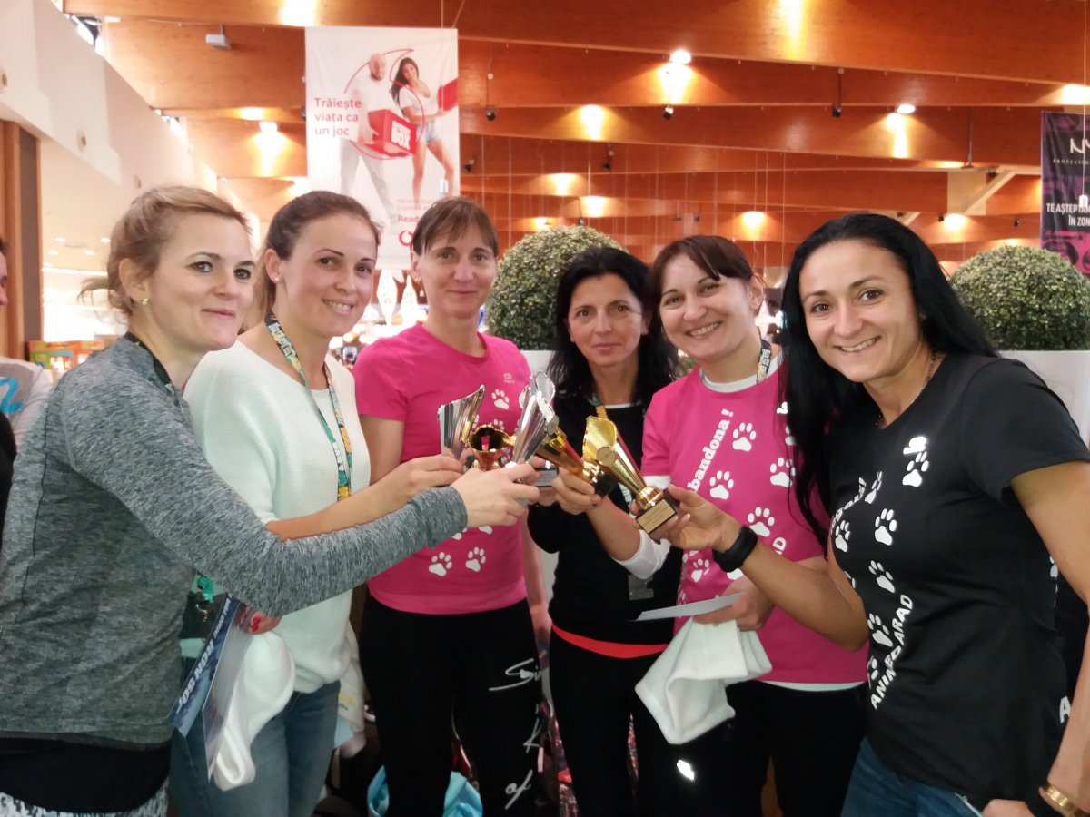 Promovarea sterilizarilor si adoptiilor la Team Up & Run 24.11.2018