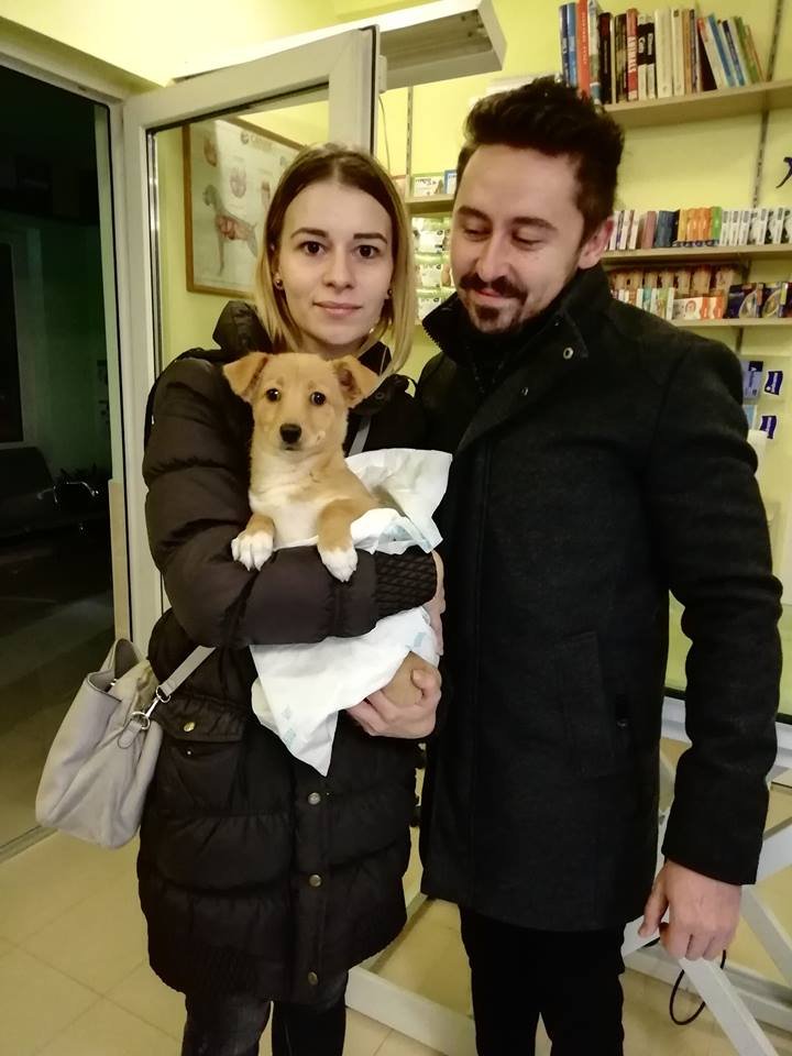Cățelușă salvată