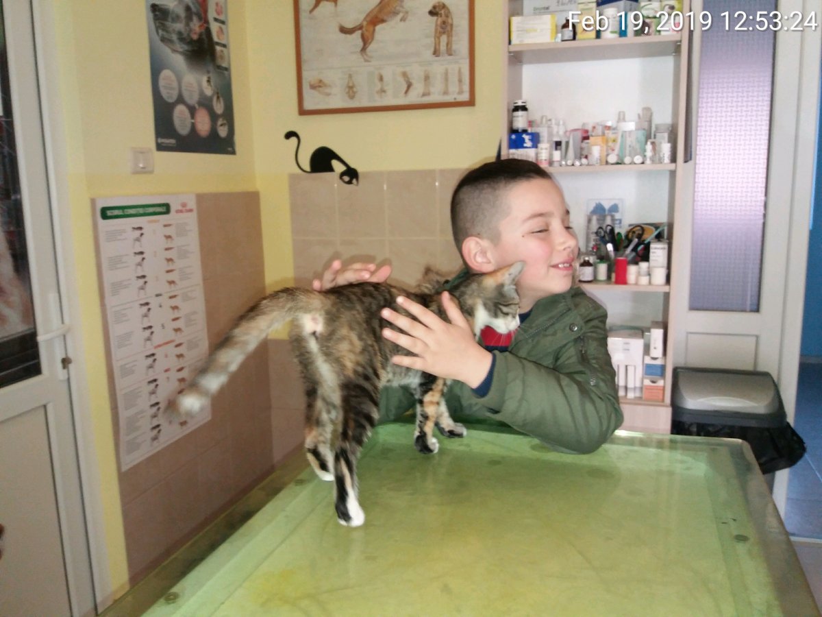 Adopții