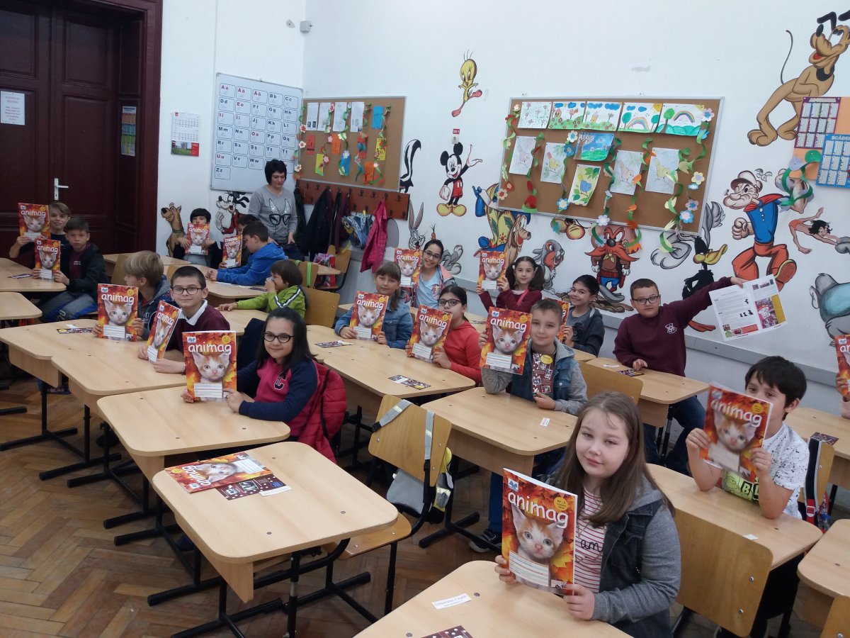 Școala altfel