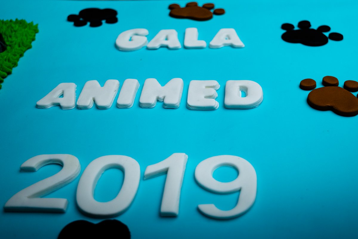 Gala Animed 2019