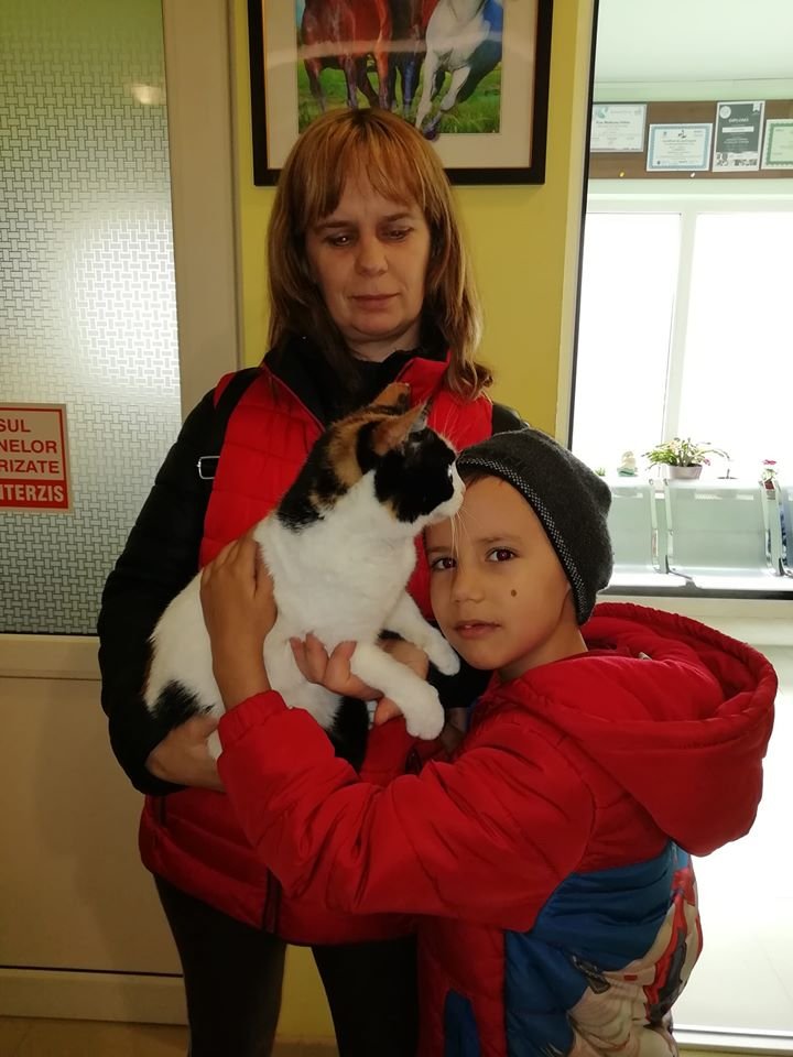 Pisică adoptată