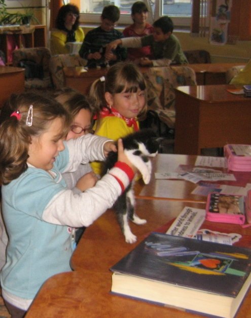 Educatia in scoli