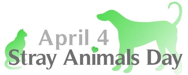 World stray animals day 2022
