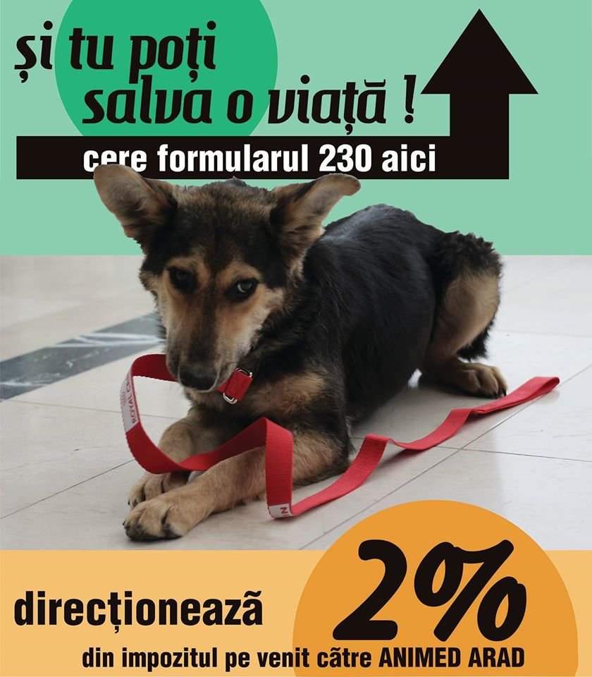 Donatii