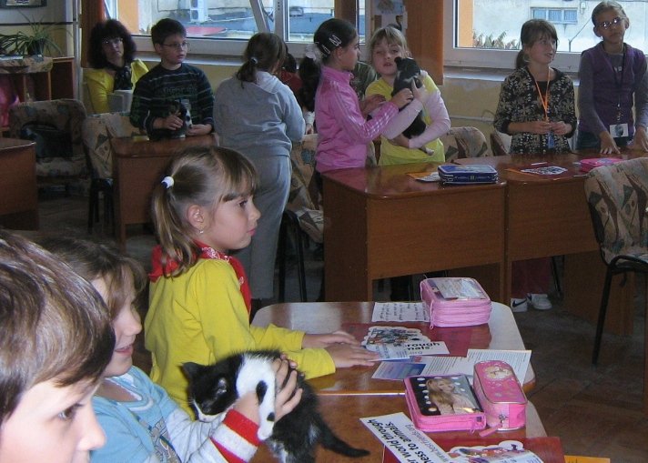 Education in schools