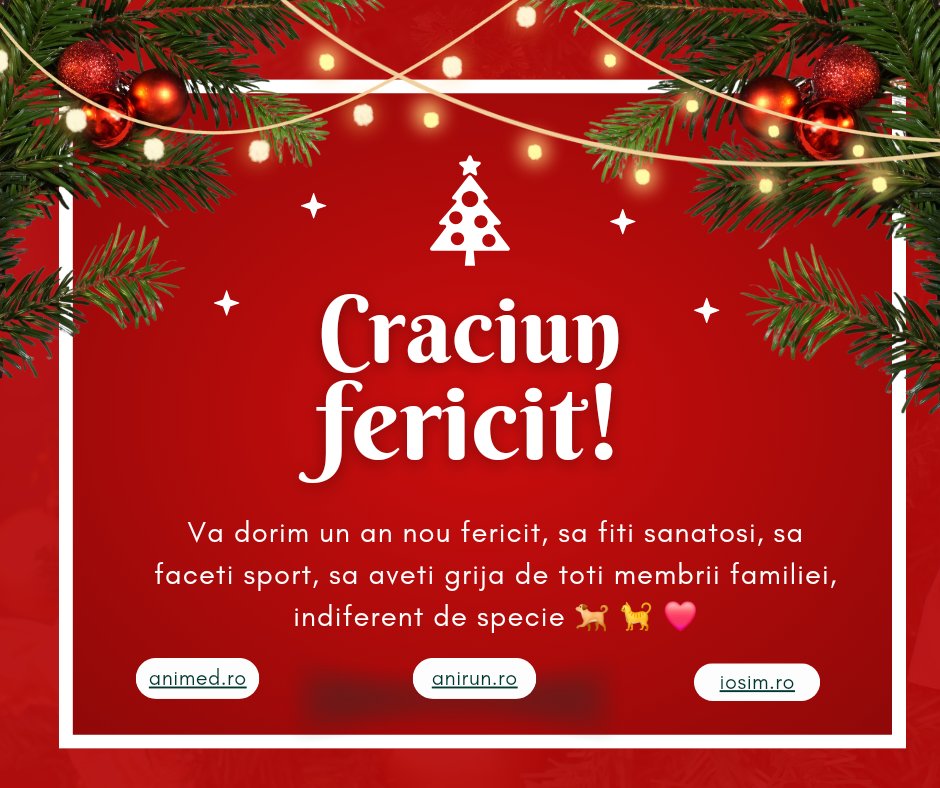 Craciun fericit!