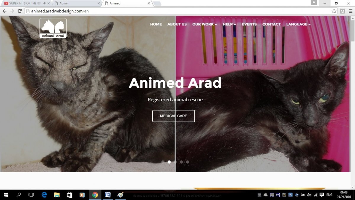 New website launch