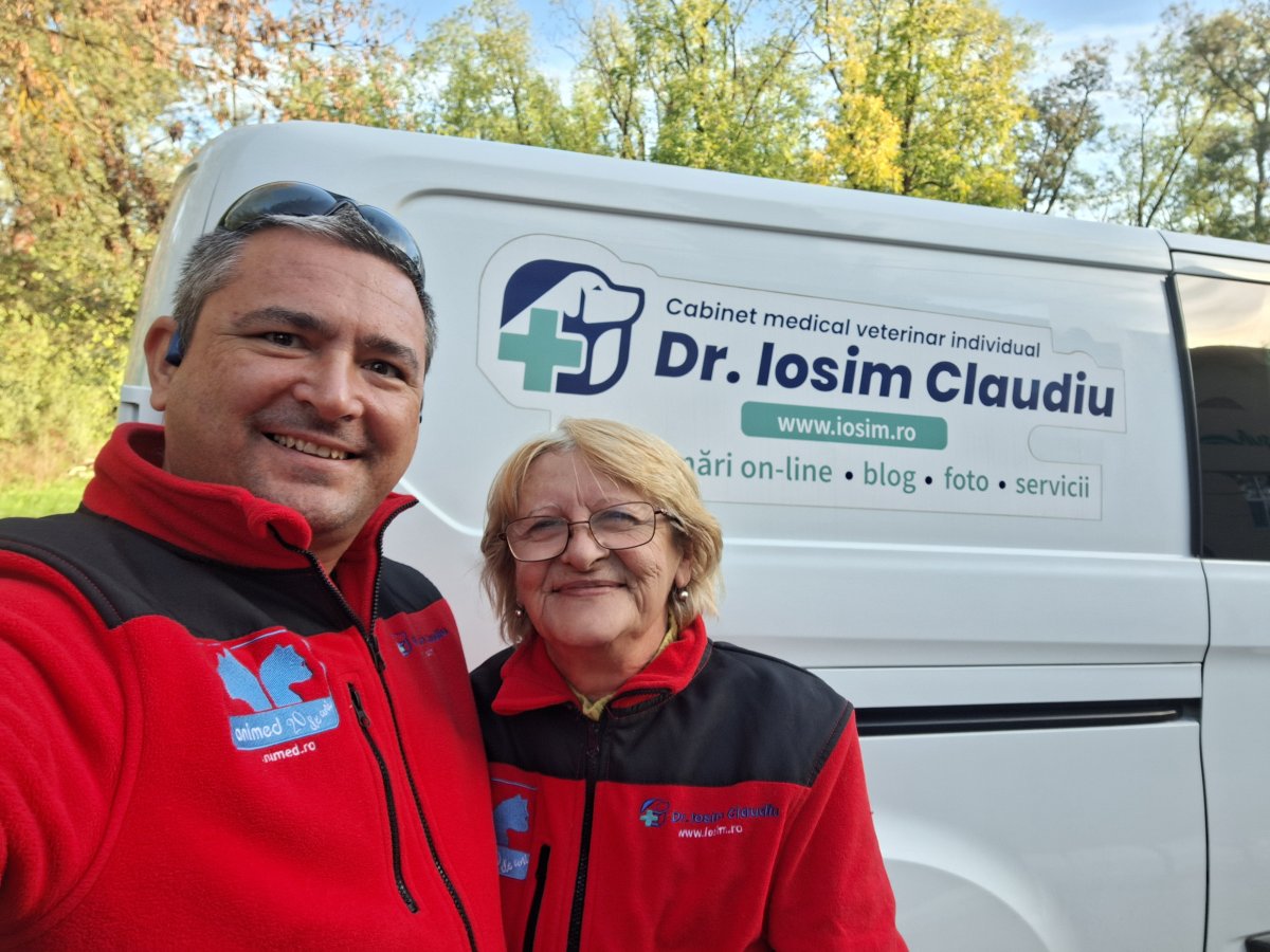 37 de sterilizari sponsorizate de Julies Spay and Neuter Syndicate in 2024