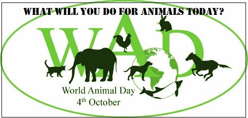World Animal Day October 4th 2016