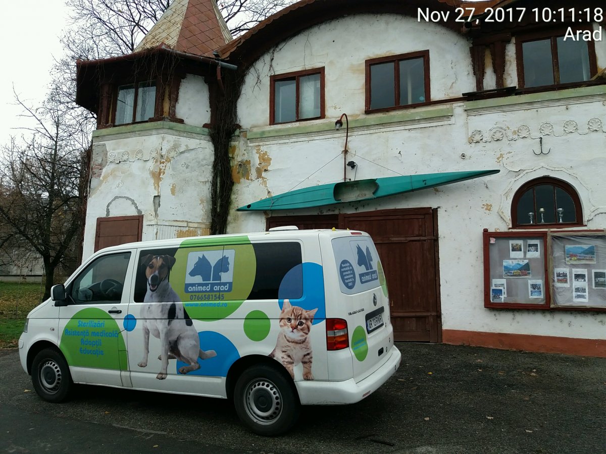 Sterilizarea pisicilor de la CS Vointa